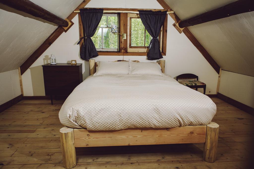 Beaverfoot Lodge & Resort Golden Chambre photo